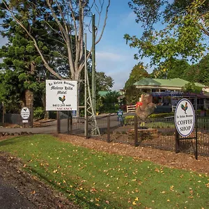 https://maleny-hills-motel.hotelssunshinecoast.net